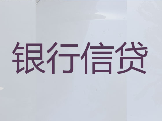 乌兰察布贷款公司-银行信用贷款